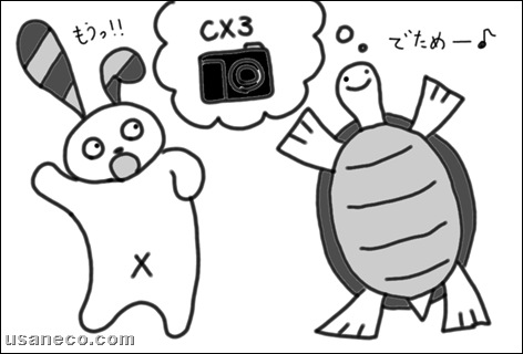 うさねこ.com_RICOH CX3_20100303_2