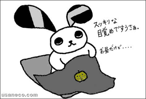 うさねこ.com_20110522_01